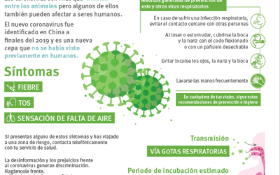 TRABAJO PUBLICA LA GUÍA PARA LA ACTUACIÓN EN EL ÁMBITO LABORAL EN RELACIÓN AL NUEVO CORONAVIRUS