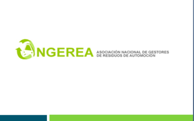 ASAMBLEA ANUAL DE ANGEREA