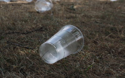 NOTA INFORMATIVA SOBRE LA ENTRADA EN VIGOR DE LA DIRECTIVA (UE) 2019/904 RELATIVA A LA REDUCCIÓN DEL IMPACTO DE DETERMINADOS PRODUCTOS DE PLÁSTICO EN EL MEDIO AMBIENTE